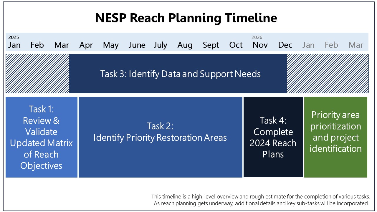NESP Reach Planning Timeline